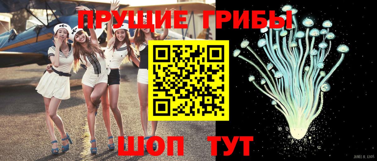 Жуковский  Галлюциногенные грибы MAGIC MUSHROOMS  Вход с VPN 
